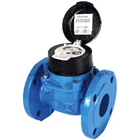 Water Meter Itron 2 inc tipe Woltex 1