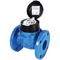 Water Meter Itron 2 in tipe Woltex 