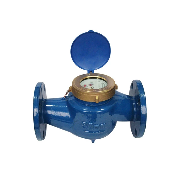 Water Meter Amico LXSG-50E 2 