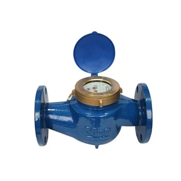 Water meter amico 2 inch LXSG -50E
