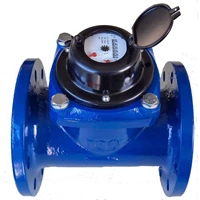 Water Meter Amico 3 In DN80 mm