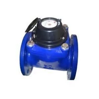 Water Meter Amico 2 In 50 mm