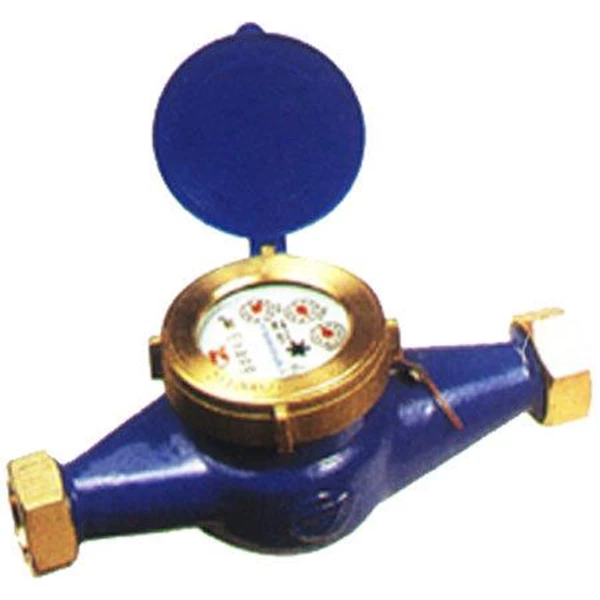 Amico Water Meter LXSG 25E size 1 inch