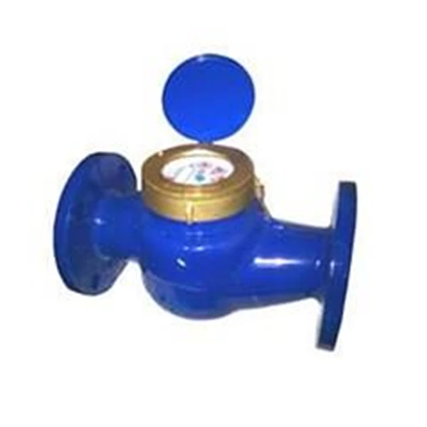 amico water meter size 2 inch 50mm
