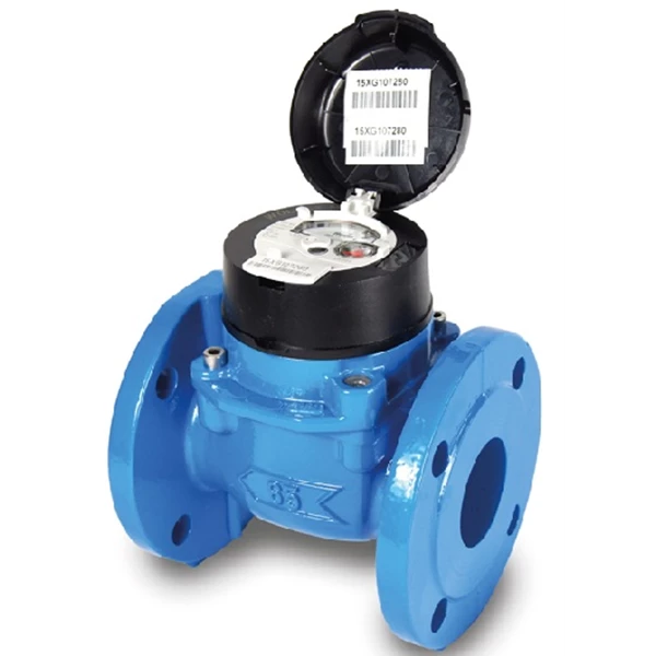 Itron Water Meter Woltex 3" 80mm
